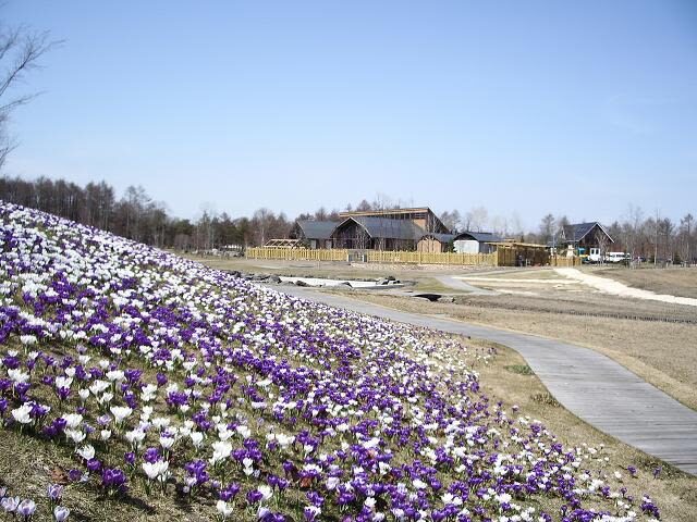 Northern Horse Park Ticket in Tomakomai, Hokkaido - Stables, paddocks, and a pony show