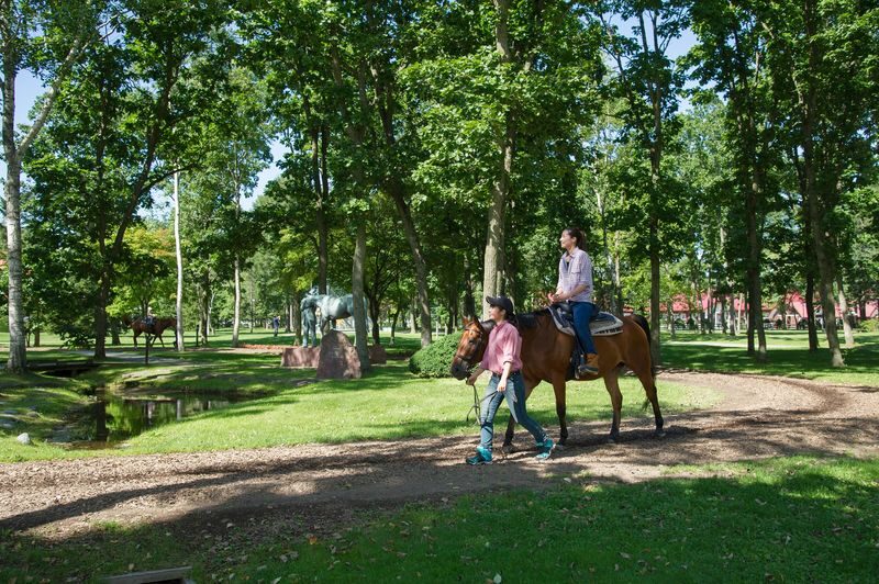 Northern Horse Park Ticket in Tomakomai, Hokkaido - Walking the gardens and forest paths
