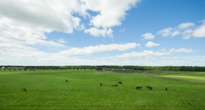 Northern Horse Park Ticket in Tomakomai, Hokkaido - Summer, autumn, and winter feel different