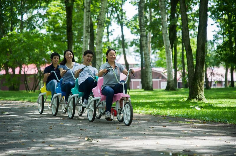 Northern Horse Park Ticket in Tomakomai, Hokkaido - Getting there by shuttle or car