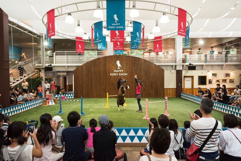 Northern Horse Park Ticket in Tomakomai, Hokkaido - What the ticket costs, and what it covers