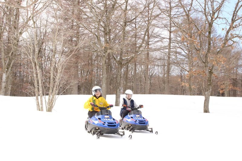 Northern Horse Park Ticket in Tomakomai, Hokkaido - Who will enjoy Northern Horse Park most?