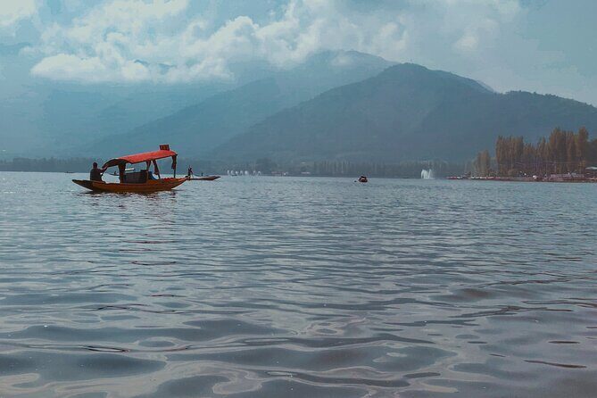 Northern Indian Tapestry On Private Jet - What We Loved About This Tour