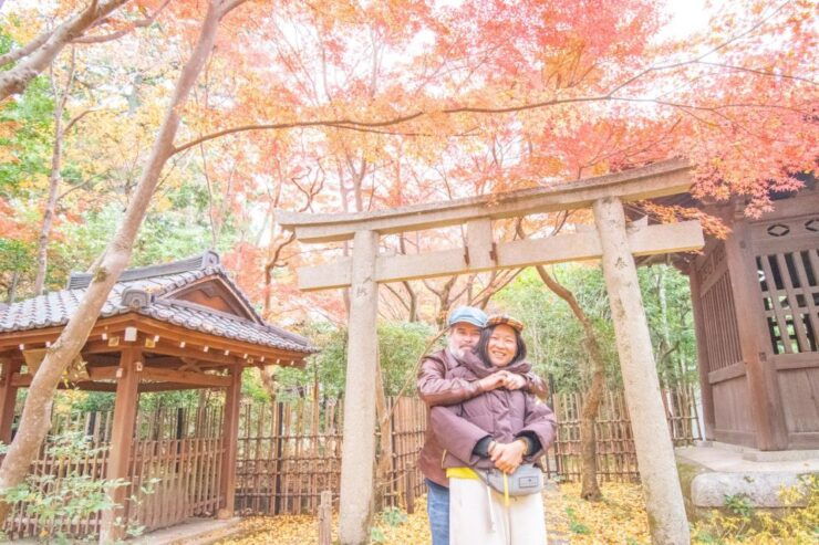 Northern Kyoto Exploration With a Private Car - Tour Highlights