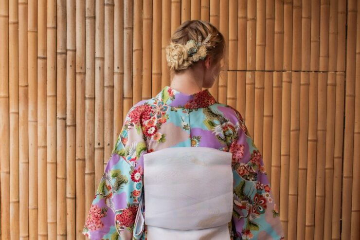 Northern Kyoto Exploration With a Private Car - Tour Description