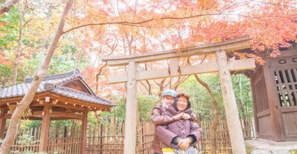 Northern Kyoto Exploration With a Private Car - The Sum Up