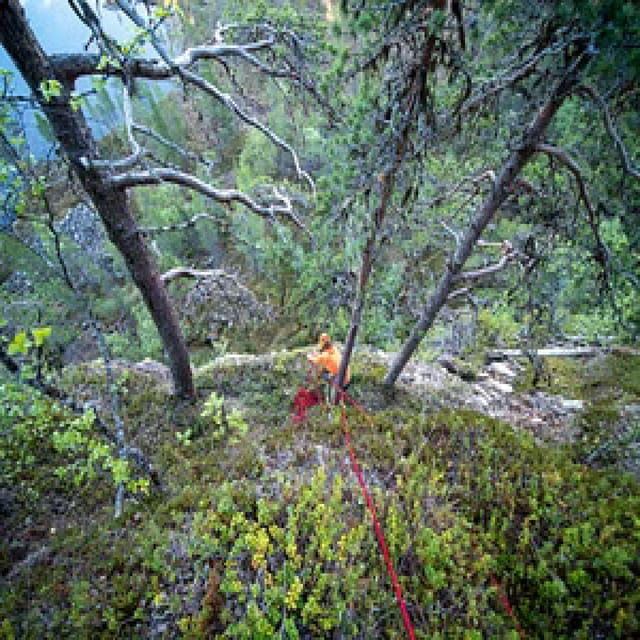 Northern Lapland Abseiling/Rappelling Adventure - Gear and Equipment Provided