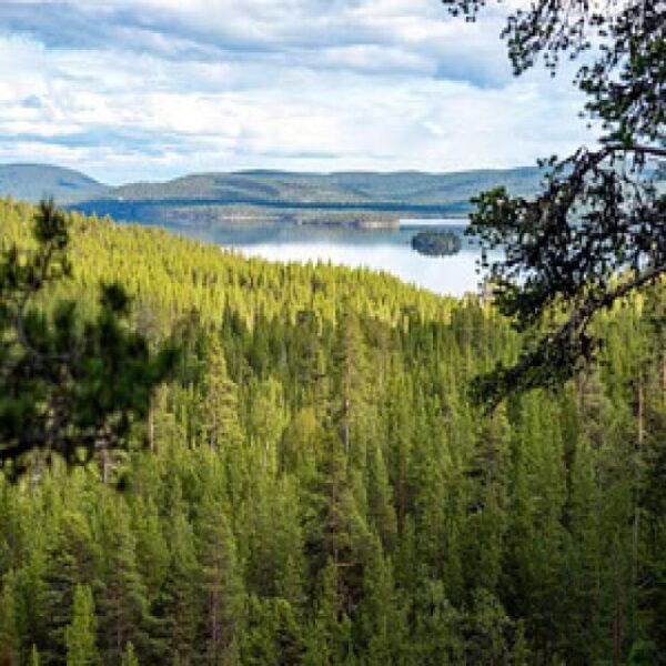 Northern Lapland Abseiling/Rappelling Adventure - Group Size and Age Requirements