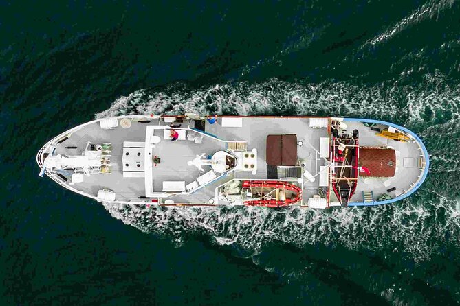 Northern Light 4 Hours Cruise With MS Strønstad - What to Expect