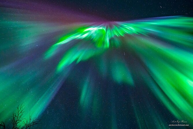 Northern Light Chase ACTT, N-C Guarantee, Light Meal, Portraits - Guides Expertise and Customer Satisfaction