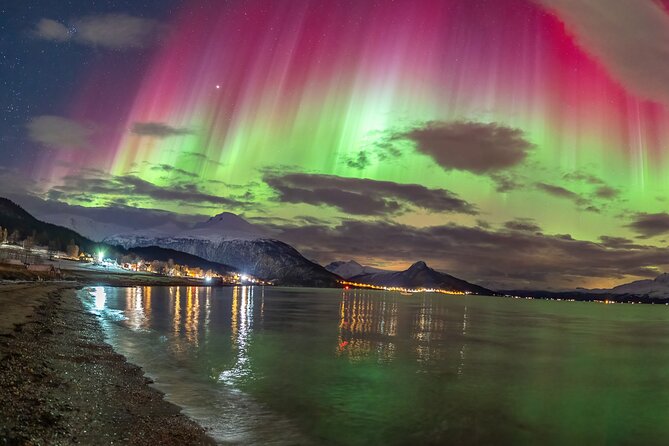 Northern Light Chase ACTT, N-C Guarantee, Light Meal, Portraits - Customer Feedback