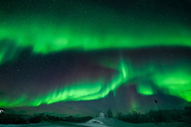 Northern Light Chase ACTT, N-C Guarantee, Light Meal, Portraits - Tour Price and Inclusions