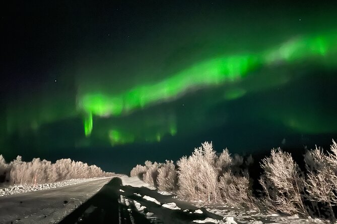 Northern Light Hunt With Minibus to Abisko 7:30 Pm - Pickup Information