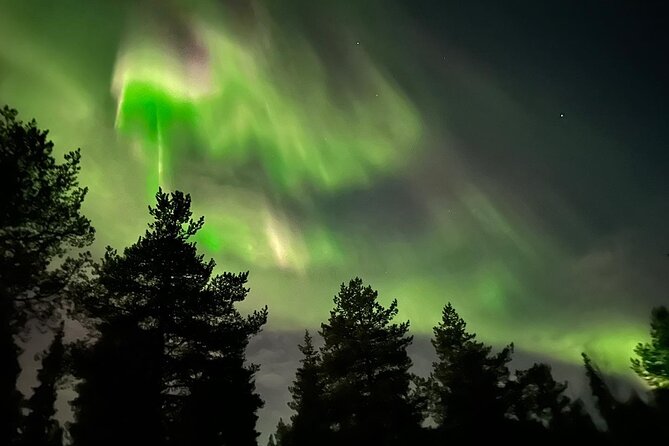 Northern Light Hunt With Minibus to Abisko 7:30 Pm - Directions