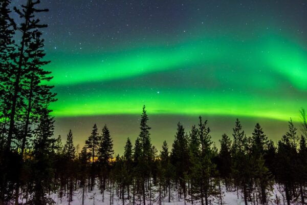 Northern Light Hunt With Procamera : Long Tour - What to Expect