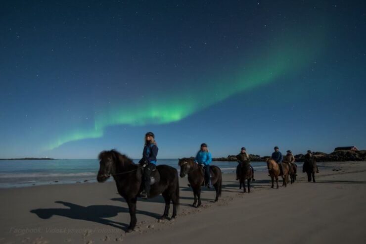 Northern Light on Horseback - Experience Highlights