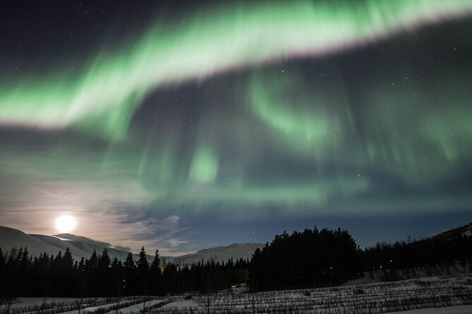 Northern Lights 4x4 Tour From Akureyri - Additional Information