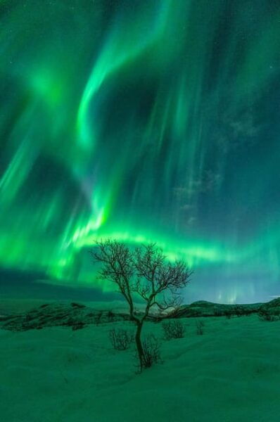 Northern Lights Adventure - Booking and Cancellation