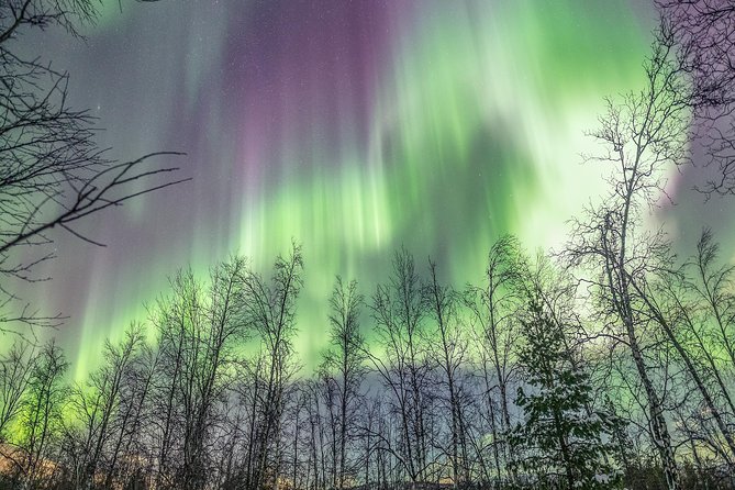 Northern Lights Adventure With Greenlander, 8 People Max - Guides Effort and Memorable Experiences
