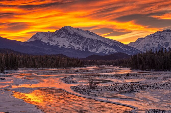 Northern Lights Alaska 6 Day Tour - Common Questions