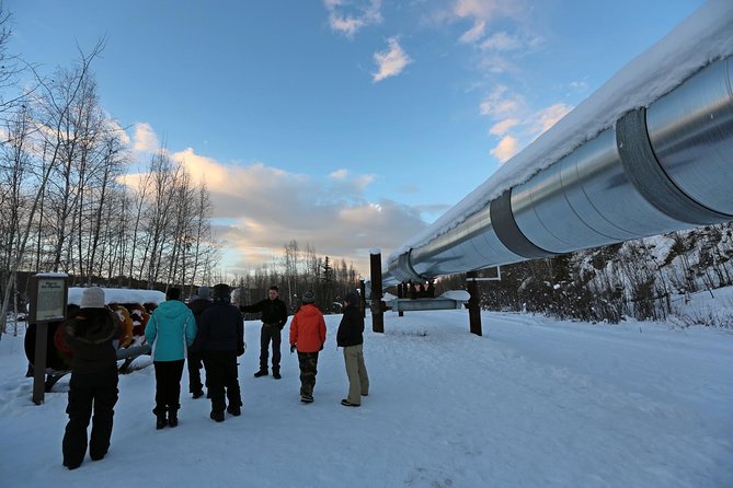Northern Lights and Arctic Circle Trip From Fairbanks - Tour Highlights