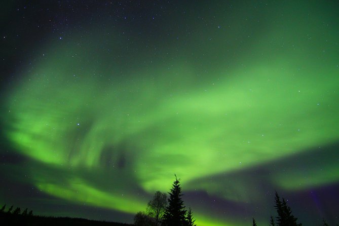 Northern Lights and Arctic Circle Trip From Fairbanks - Weather and Conditions
