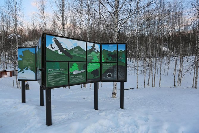 Northern Lights and Arctic Circle Trip From Fairbanks - Unforgettable Experience