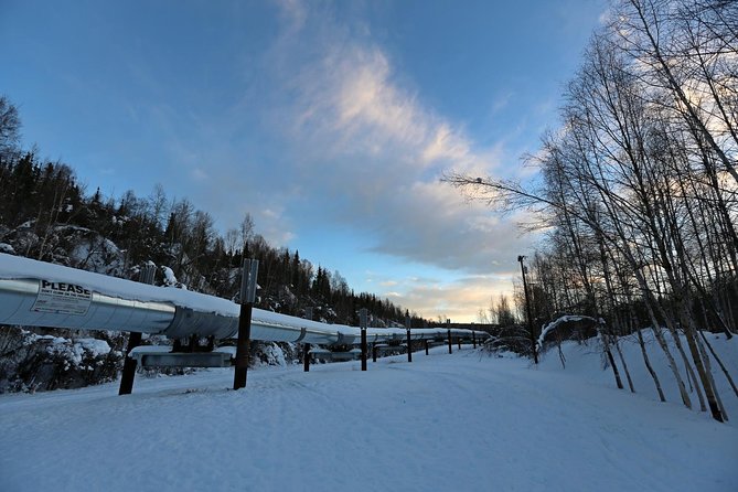 Northern Lights and Arctic Circle Trip From Fairbanks - Directions