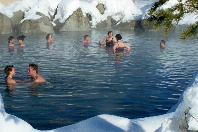 Northern Lights and Chena Hot Springs Tour From Fairbanks - Tour Overview