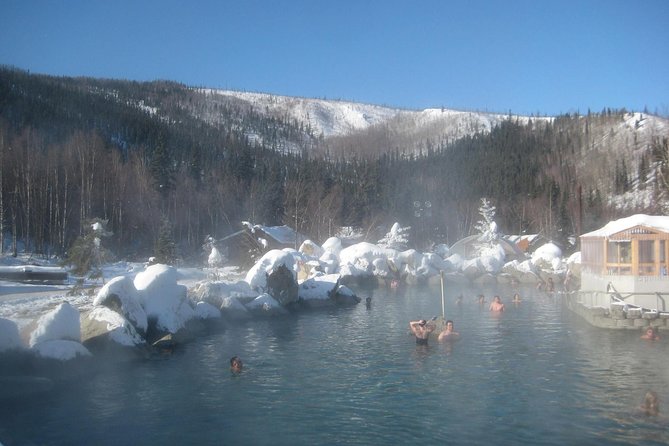 Northern Lights and Chena Hot Springs Tour From Fairbanks - Indulging in Alaskan Fare