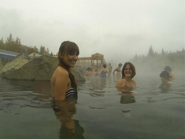 Northern Lights and Chena Hot Springs Tour From Fairbanks - Observing the Aurora Borealis