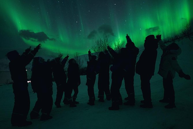 Northern Lights Big Bus Chase - Traveler Tips
