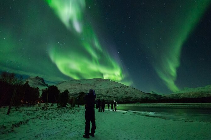 Northern Lights Chase by Bus in Tromso - What to Expect on the Tour