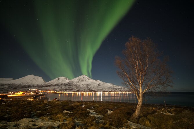 Northern Lights Chase by Bus in Tromso - Reviews and Ratings From Previous Participants