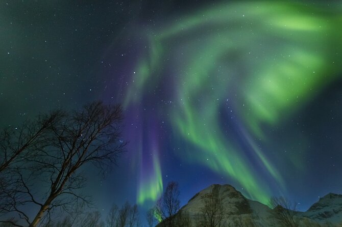 Northern Lights Chase by Bus in Tromso - Directions and Tips for a Successful Experience