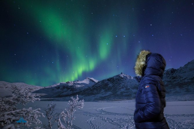 Northern Lights Chase - Tour Overview and Experience