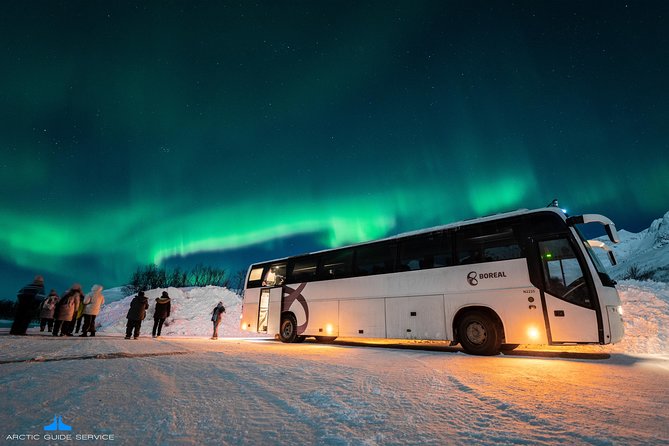 Northern Lights Chase - Positive Reviews of Guide, Photographer, and Bus Comfort