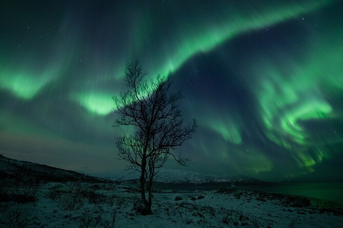 Northern Lights Chase - More Than Just a Chase - Experience the Northern Lights Around a Campfire