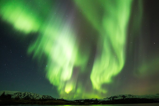 Northern Lights Cruise From Reykjavik - Whats Included in the Tour