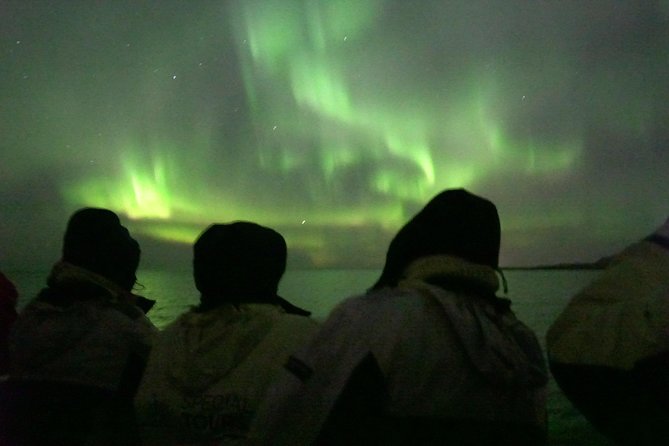 Northern Lights Cruise From Reykjavik Including Photos - Common Questions