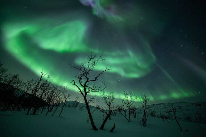Northern Lights Expedition With Arctic Photo Guide Max 6 Guests - Tour Details