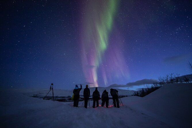 Northern Lights Expedition With Arctic Photo Guide Max 6 Guests - Reviews