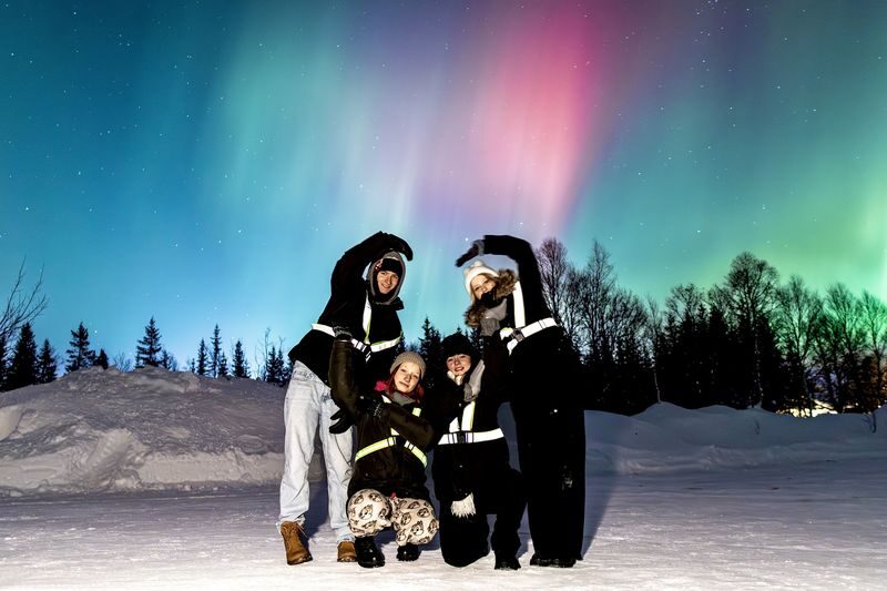 Northern Lights Half-Day Bus Tour from Tromso - Key points to know before you book