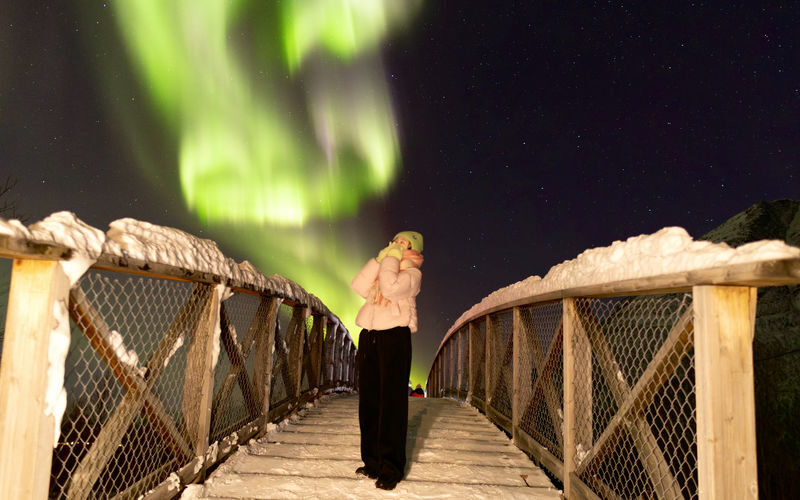 Northern Lights Half-Day Bus Tour from Tromso - A Tromso night built around the aurora hunt
