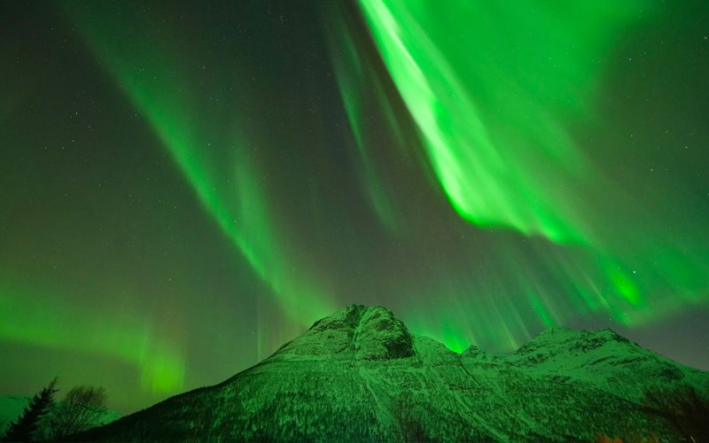 Northern Lights Half-Day Bus Tour from Tromso - What the itinerary does, and does not, tell you