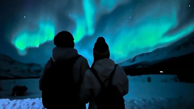 Northern Lights Half-Day Bus Tour from Tromso - What $132.85 buys you