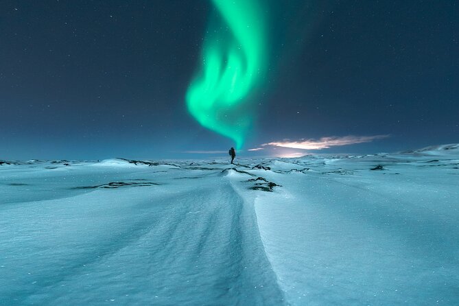 Northern Lights & Hot Chocolate Minibus Tour in Reykjavik - Traveler Reviews