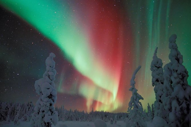 Northern Lights Hunt From Rovaniemi With Folk Tales and Snacks Over Campfire - Reviews