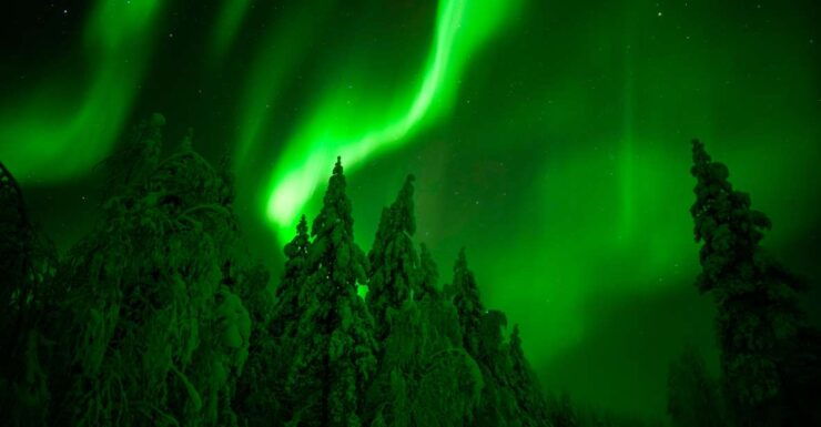Northern Lights Hunting Adventure in Lapland - Booking Details