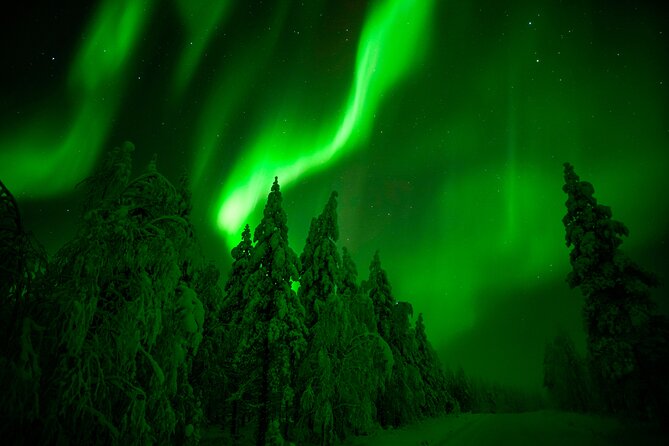 Northern Lights Hunting Adventure in Lapland - Tour Details